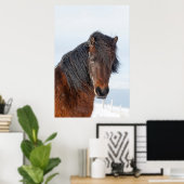 Regal IJslandse paarden Poster (Thuiskantoor)