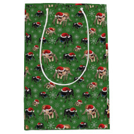 Regal Jumping Spider Phiddipus Regius Holiday Moss Medium Cadeauzakje