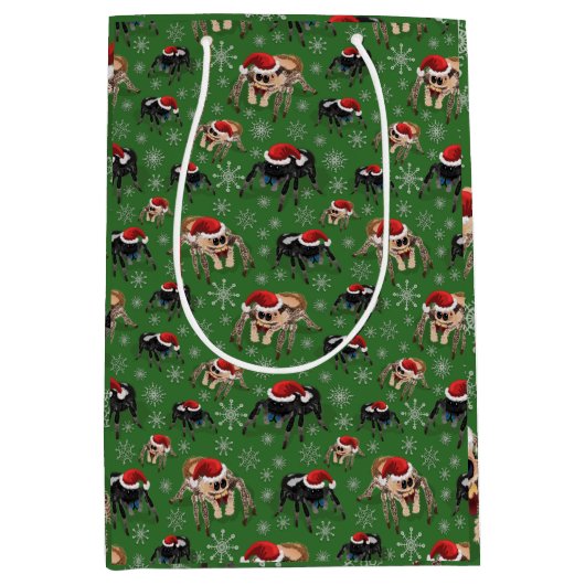 Regal Jumping Spider Phiddipus Regius Holiday Moss Medium Cadeauzakje (Voorkant)