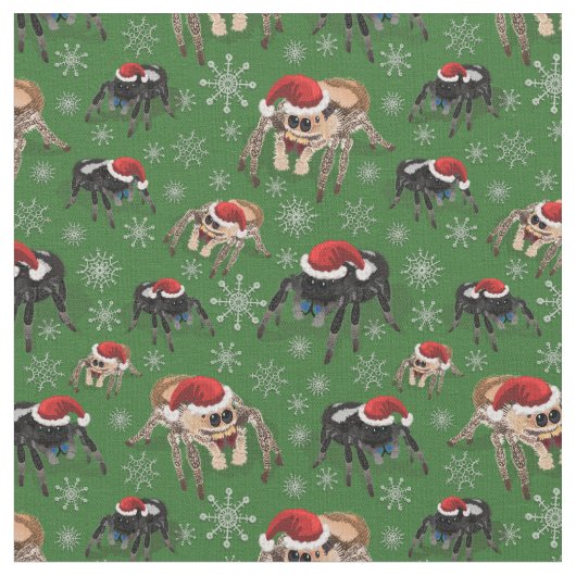 Regal Jumping Spider Phiddipus Regius Holiday Moss Stof (Close Up)