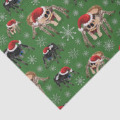 Regal Jumping Spider Phiddipus Regius Holiday Moss Tissuepapier (Detail)