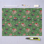 Regal Jumping Spider Phiddipus Regius Holiday Moss Tissuepapier (Craft)