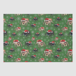 Regal Jumping Spider Phiddipus Regius Holiday Moss Tissuepapier