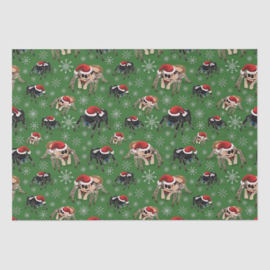 Regal Jumping Spider Phiddipus Regius Holiday Moss Tissuepapier (Voorkant)