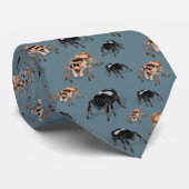 Regal Jumping Spider Phiddipus Regius Slate Stropdas (Opgerold)