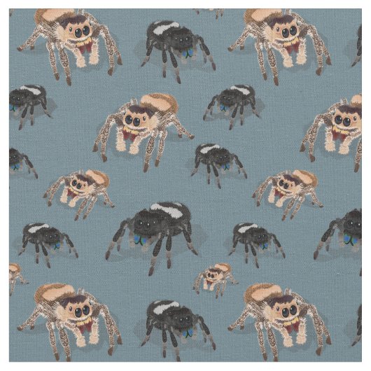 Regal Jumping Spider Phiddipus Regius Stof (Close Up)