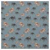 Regal Jumping Spider Phiddipus Regius Stof (Swatch)