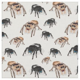 Regal Jumping Spider Phiddipus Regius White Stof