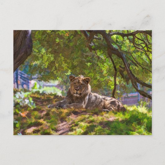 REGAL LION BRIEFKAART (Voorkant)