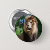 Regal Lion Button (Voorkant /achterkant)