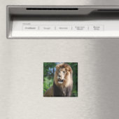 Regal Lion Magnet (Insitu (Vaatwasser))
