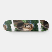 Regal Lion Skateboard (Horizontaal)