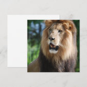 Regal Lion Uitnodigingen (Voorkant / Achterkant)