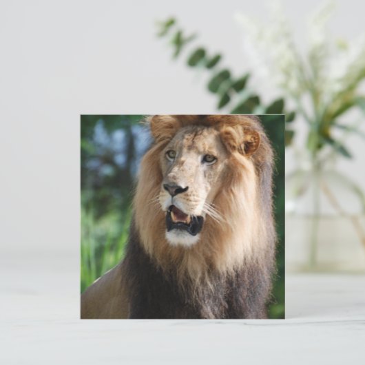 Regal Lion Uitnodigingen (Staand voorkant)