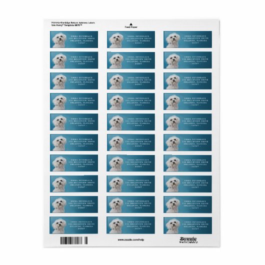 Regal Maltese hond retour adres label (Full Sheet)