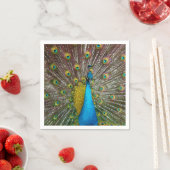 Regal Peacock Bird met Blauwgroen en Gold Plumage Servet (Insitu)