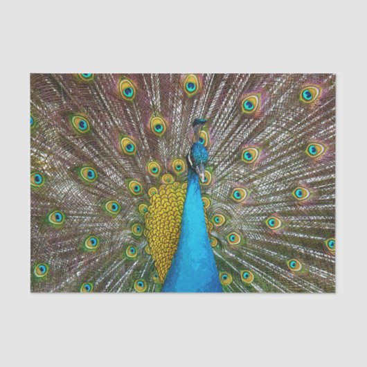 Regal Peacock Bird met Blauwgroen en Gold Plumage Tissuepapier (Voorkant)