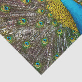 Regal Peacock Bird met Blauwgroen en Gold Plumage Tissuepapier (Detail)