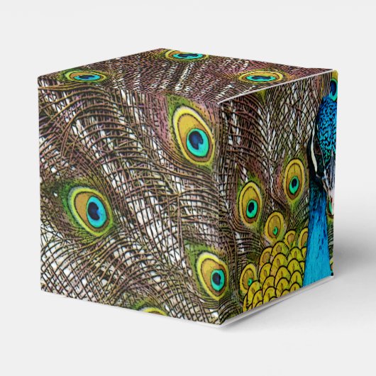 Regal Peacock Bird met verenkleed op display Bedankdoosjes (Achterkant)