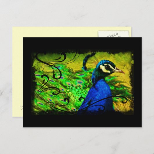 Regal Peacock Elegant Fine Art Briefkaart (Voorkant / Achterkant)