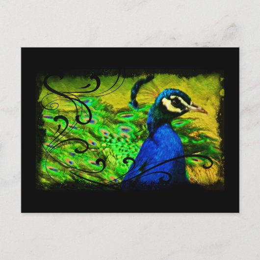 Regal Peacock Elegant Fine Art Briefkaart (Voorkant)