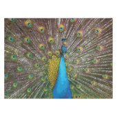 Regal Peacock met Blauwgroen blauw en goud verenkl Tafelkleed (Voorkant (Horizontaal))