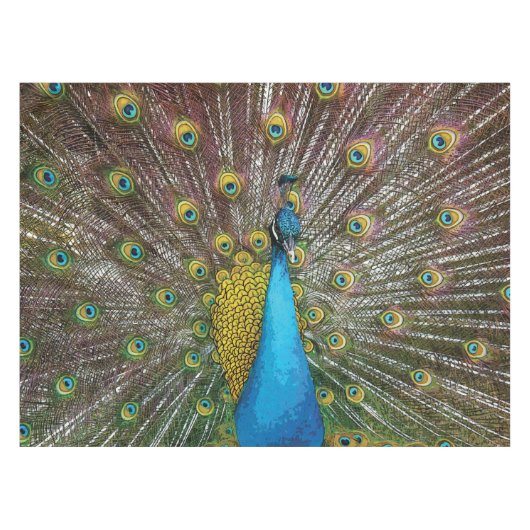 Regal Peacock met Blauwgroen blauw en goud verenkl Tafelkleed (Voorkant (Horizontaal))
