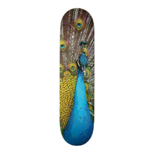 Regal Peacock met Blauwgroen blauwe en gouden vere Persoonlijk Skateboard