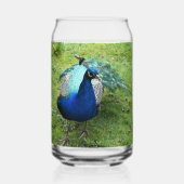 Regal Peacock Power Blikvorm Glas (Voorkant)