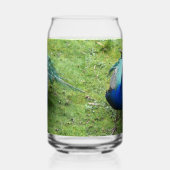 Regal Peacock Power Blikvorm Glas (Links)