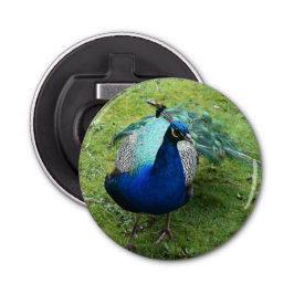 Regal Peacock Power Button Flesopener