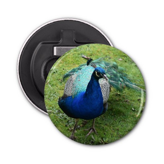 Regal Peacock Power Button Flesopener (Voorkant)