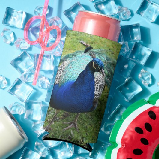 Regal Peacock Power Cooler (Insitu Zomer)