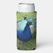 Regal Peacock Power Cooler (Seltzer Voorkant)