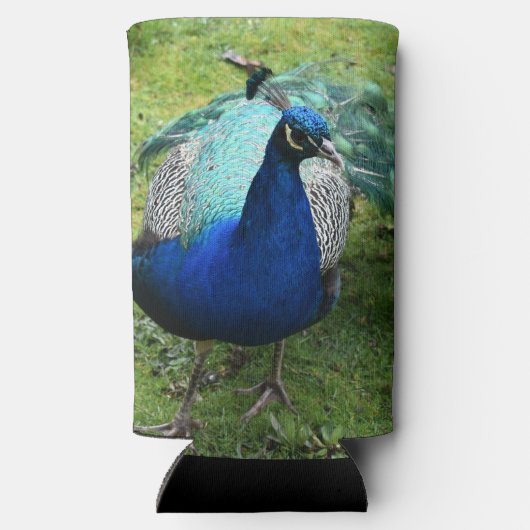 Regal Peacock Power Cooler (Achterkant)