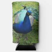 Regal Peacock Power Cooler (Voorkant)