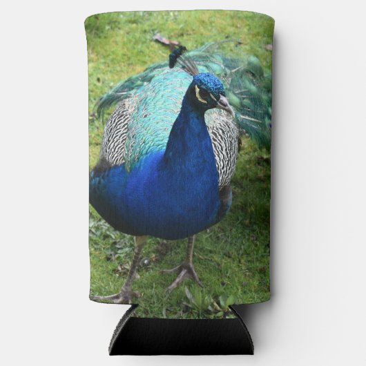 Regal Peacock Power Cooler (Voorkant)