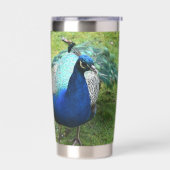 Regal Peacock Power  Geïsoleerde Drinkbeker (Links)