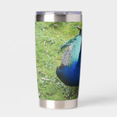 Regal Peacock Power  Geïsoleerde Drinkbeker (Voorkant)