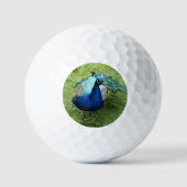 Regal Peacock Power Golfballen (Voorkant)