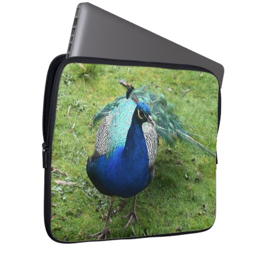 Regal Peacock Power Laptop Sleeve (Voorkant Rechts)