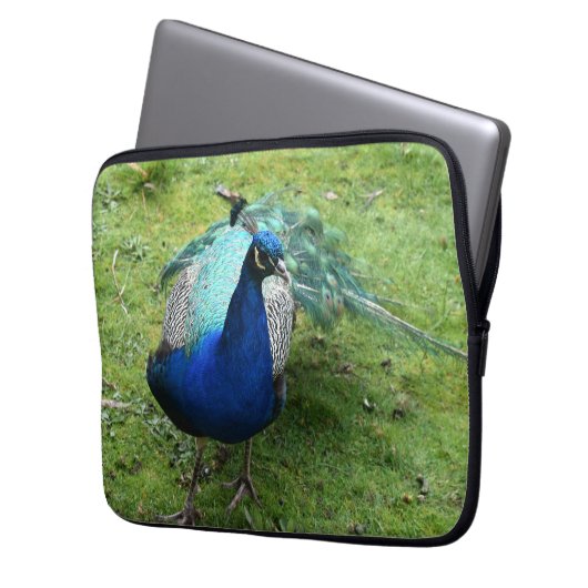 Regal Peacock Power Laptop Sleeve (Voorkant Links)