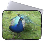 Regal Peacock Power Laptop Sleeve (Voorkant)