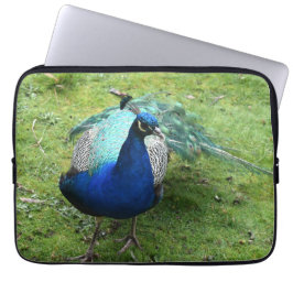 Regal Peacock Power Laptop Sleeve