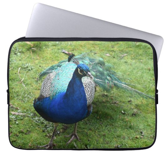 Regal Peacock Power Laptop Sleeve (Voorkant)