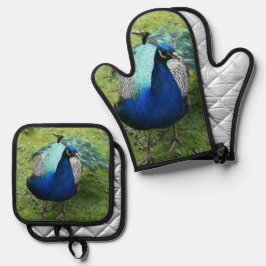 Regal Peacock Power Ovenwant & Pannenlap Set