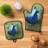 Regal Peacock Power Ovenwant & Pannenlap Set (Top down)