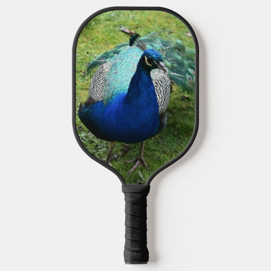 Regal Peacock Power Pickleball Paddle (Voorkant)