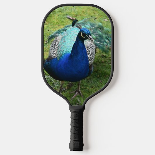 Regal Peacock Power Pickleball Paddle (Achterkant)