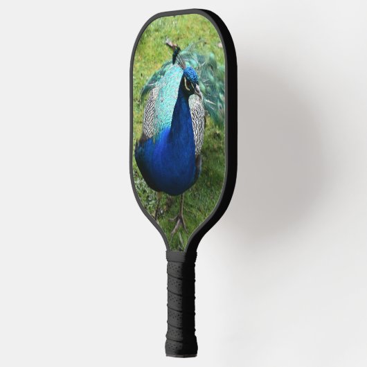 Regal Peacock Power Pickleball Paddle (Links)